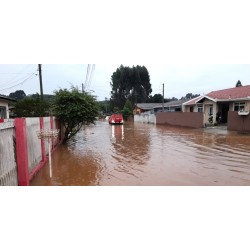 Com mais de 100 membros, Comitê Cidade Resiliente atende famílias afetadas pelas chuvas em Campo Largo